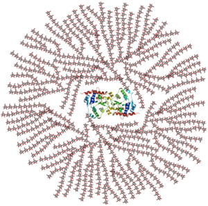 Glycogen molecule